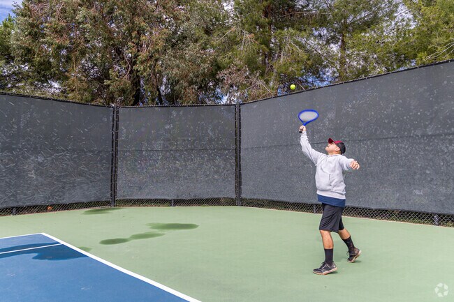 Steele Canyon County Park offers a tennis court and other sports fields.