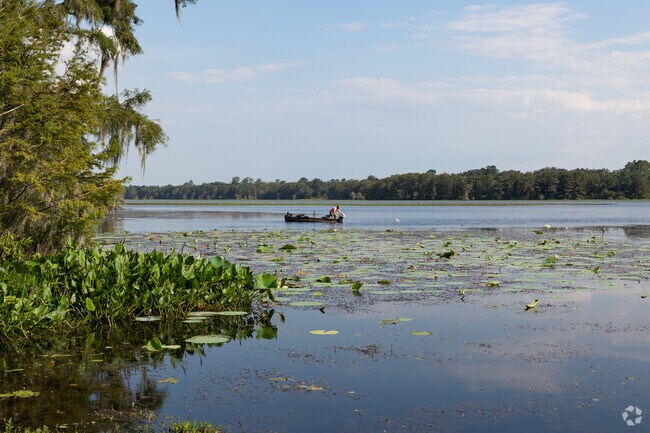 Lake Iamonia is a fisherman's paradise, with it's serenity and abundant wildlife.