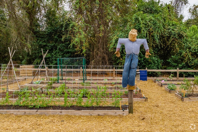 Folks in Shady Hills often have their own gardens on their large lots.