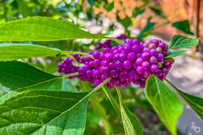 There are many parks around Whitfield neighborhood to enjoy & take in nature.