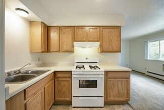 5290 3rd St NE, Fridley, MN 55421