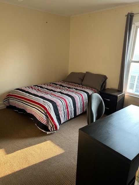 66 Lincoln Ave unit Student Housing, Cortland, NY 13045 - photo 7