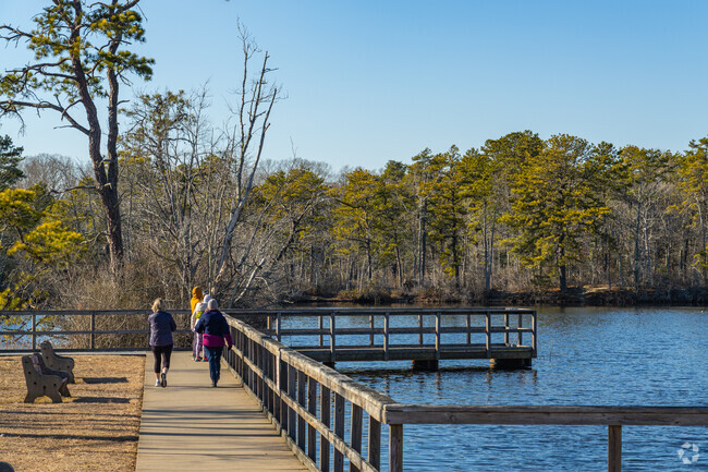 Take in views of the scenic wetlands at Birch Grove Park.