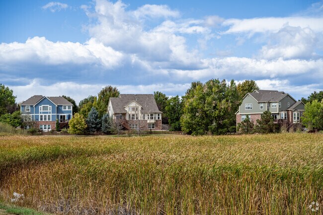 Large contemporary homes sit along the open space in Aspen Creek.