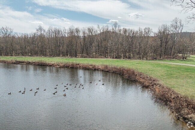 Sandy Creek flows through Sandy Valley Trail Park for Waynesburg anglers.