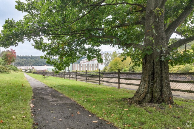 Take a break from the noise and go for a lovely stroll on the trail in Airbrake Park.