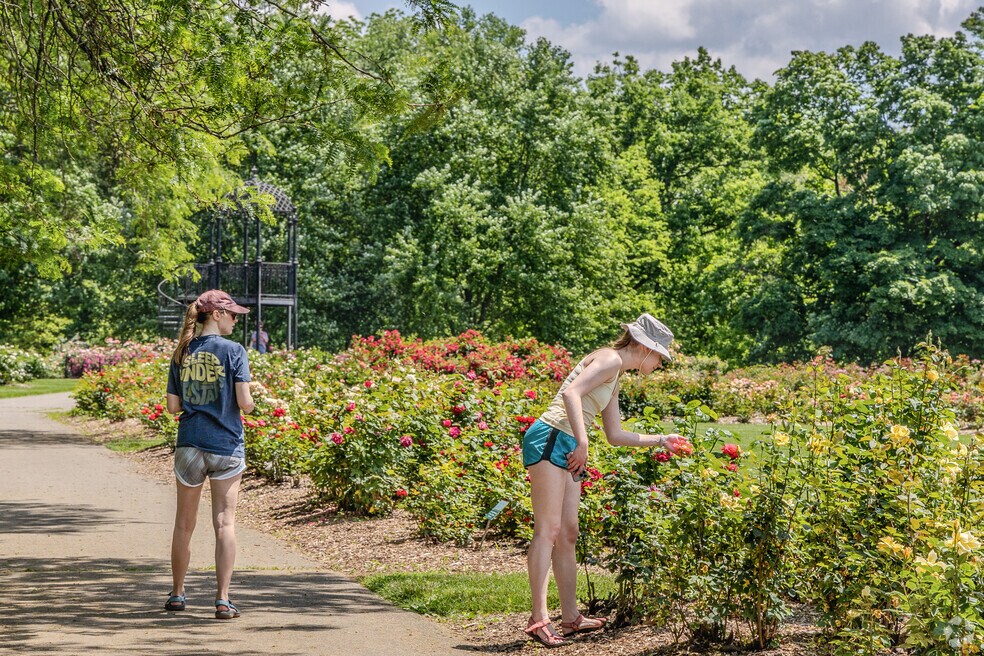 NH_Maize-Morse_527695_P2_V3_DM_051225