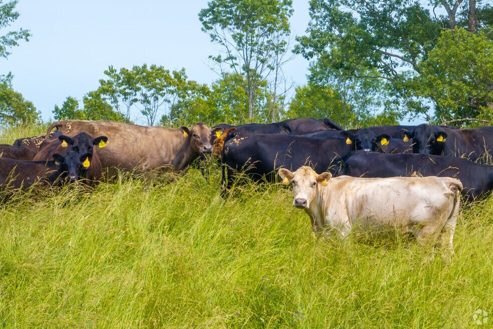 Columbia_1026880_STW_062525_FINAL