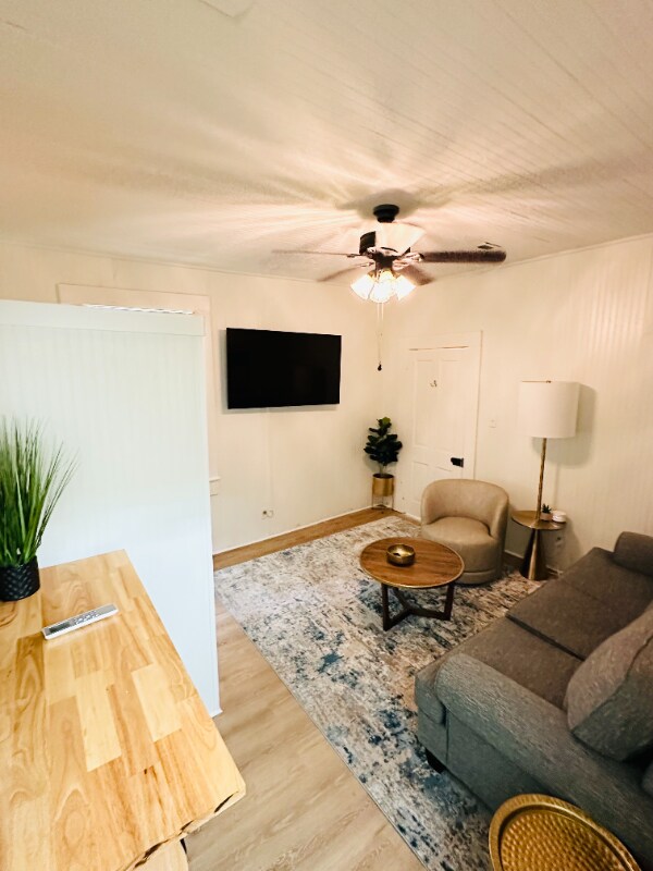 311 Chatham St unit 2, Mobile, AL 36604 - photo 5