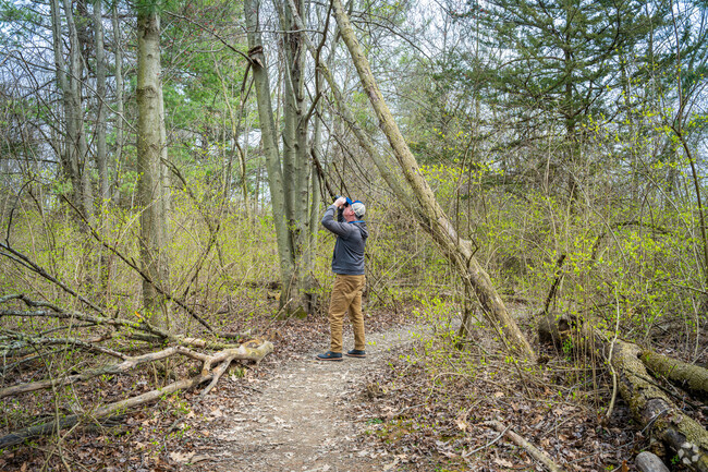 Maplewood nature lovers can find a mile trail in 45 acres of woods at Mengerson Nature Preserve.