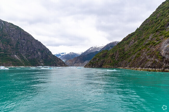 North Douglas is a picturesque island community surrounded by wildlife and natural beauty.