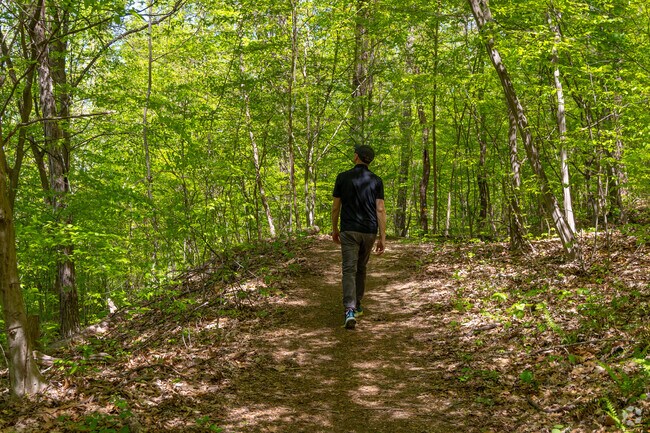 Hiking the Musconetcong Gorge in Holland offers stunning views, rugged trails, and peaceful nature, perfect for adventurers seeking scenic beauty and quiet escapes.
