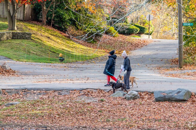 Locals of Garden Hills love to walk along the lake with their dogs at Meshanticut State Park.