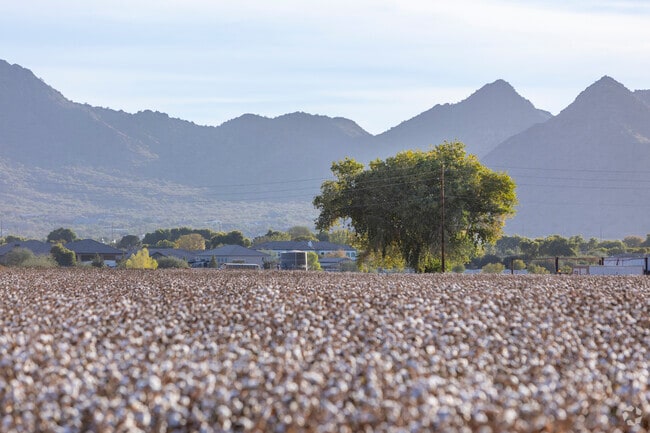 Small town feels permeate the air in Queen Creek.