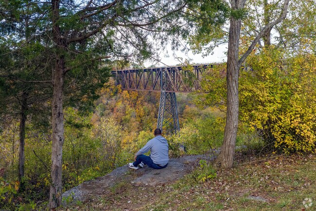 A Wilmore resident savors Fall colors and scenic views at High Bridge Park.