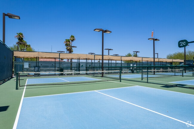 Pickleball happens to be a popular option for the residents in Sun City West.