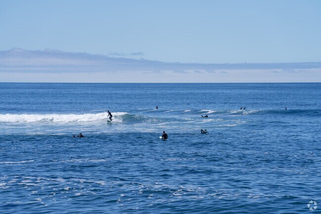 Water recreation draws surfers to Davenport Landing’s scenic beach north of Santa Cruz.