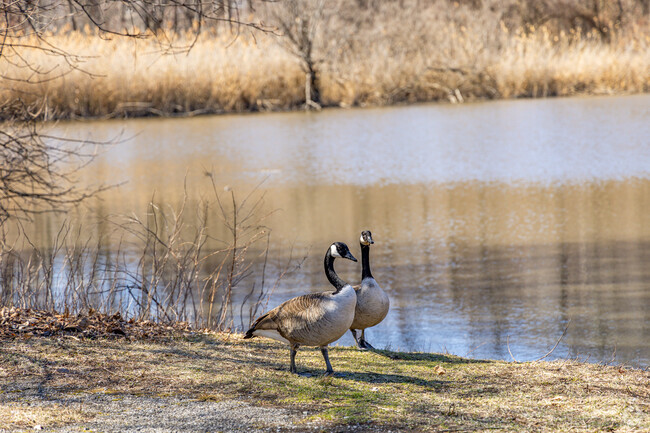 New Windsor offers a peaceful retreat, allowing residents the chance to connect with nature's calming presence.