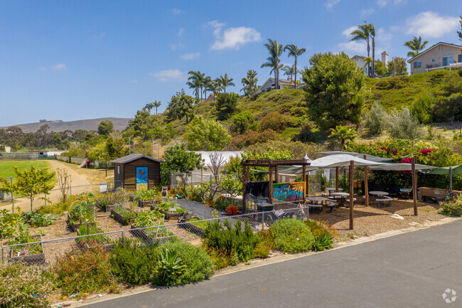 The Community Garden at Mission Estancia Elementary School is thriving.