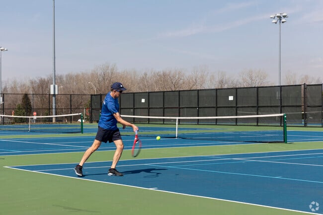 Residents of McDowell Forest Preserve are welcome to use the many public tennis courts.