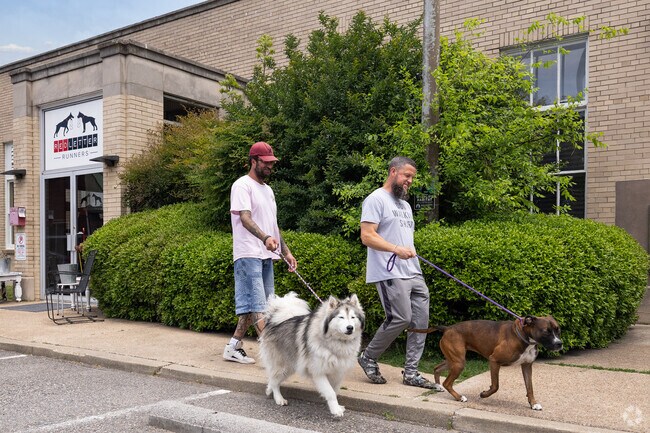 Red Letter Runners provides dog daycare and training about 2 miles from Salters Creek.
