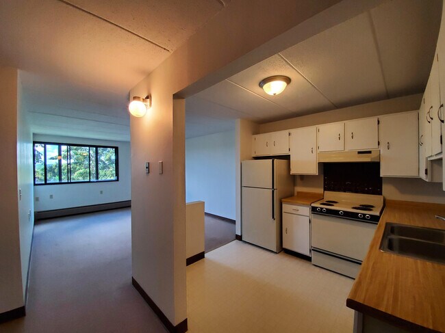 Deering Manor - Section 8: 62+ ,Handicapped,, Nashwauk, MN 55769 - photo 3