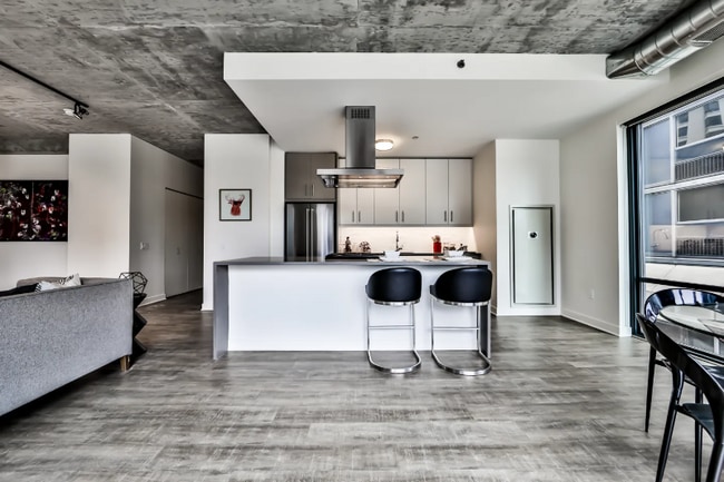 397 E Ohio St, Chicago, IL 60611 - photo 4