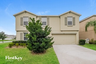 10111 Crested Fringe Dr, Riverview, FL 33578