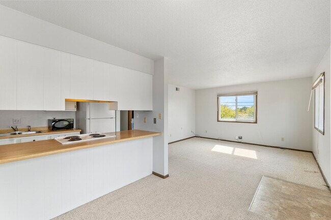 810 E 18th St unit 810, Cedar Falls, IA 50613 - photo 6