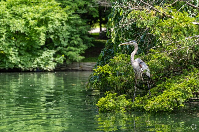 The Lexington Cemetery is a local attraction, bringing in thousands of visitors each Spring.