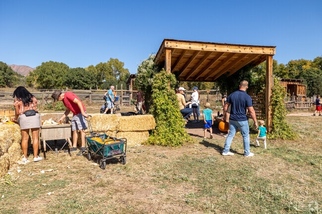 You can buy fresh corn and pumpkins at the Harvest Festival.