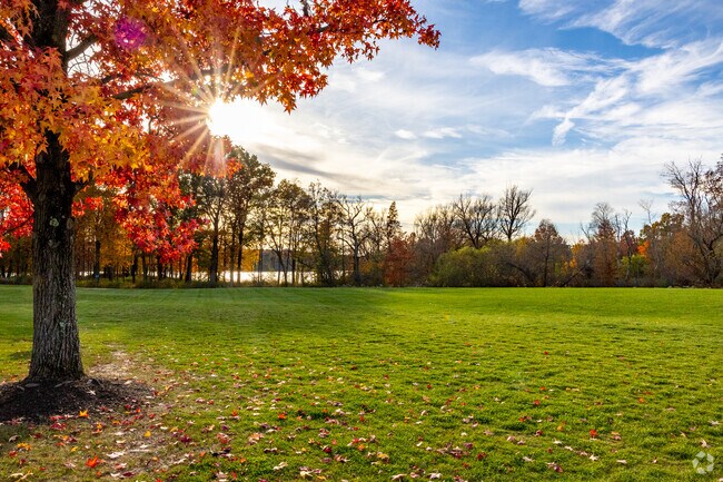 Discover the beauty of Columbia Woods Park, a nature lover's paradise.