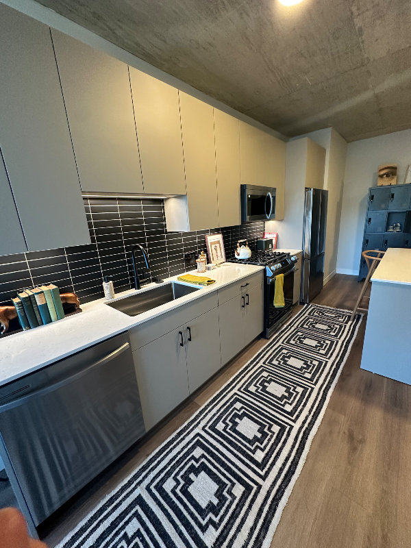 315 N May St, Chicago, IL 60607