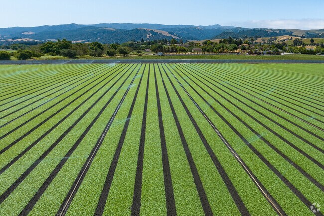 The agricultural plains meet with the suburbs in San Juan Bautista, California.