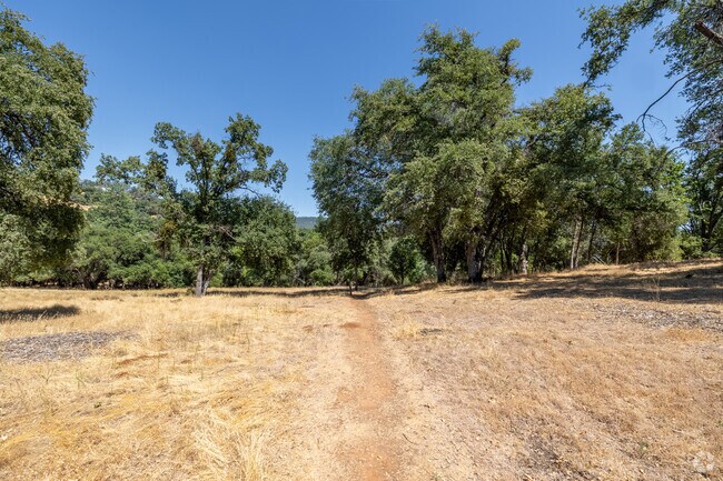 Hikers trek the Trail Head for nature walks in the City of Columbia, Ca.