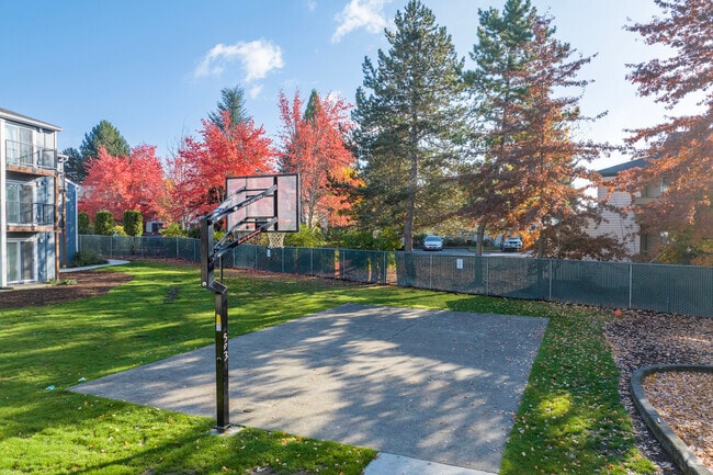 Aloha Park, Beaverton, OR 97006 - photo 5