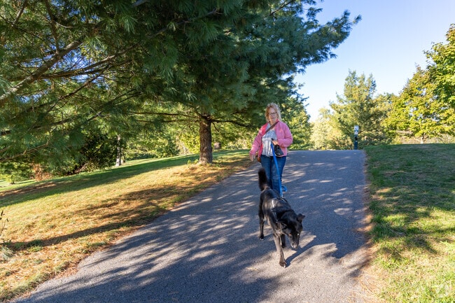 Boyce Mayview Park is a great place to spend time with furry best friends.