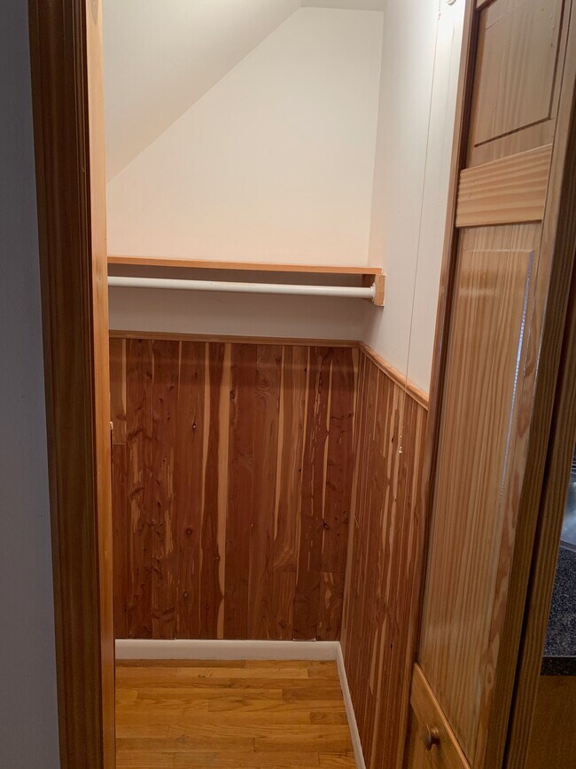 Walk in cedar closet