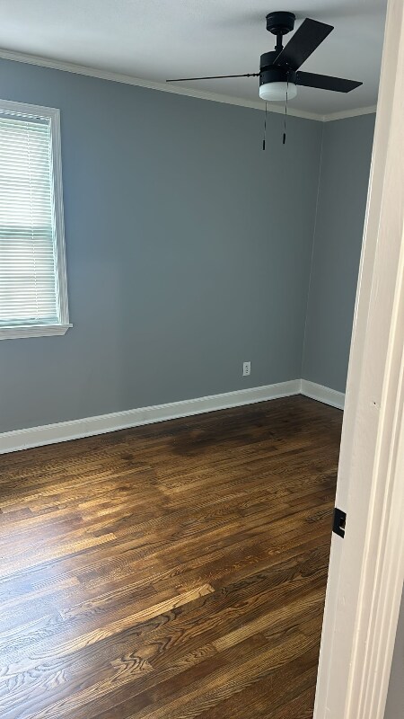 4161 Dunn Ave, Memphis, TN 38111 - photo 3