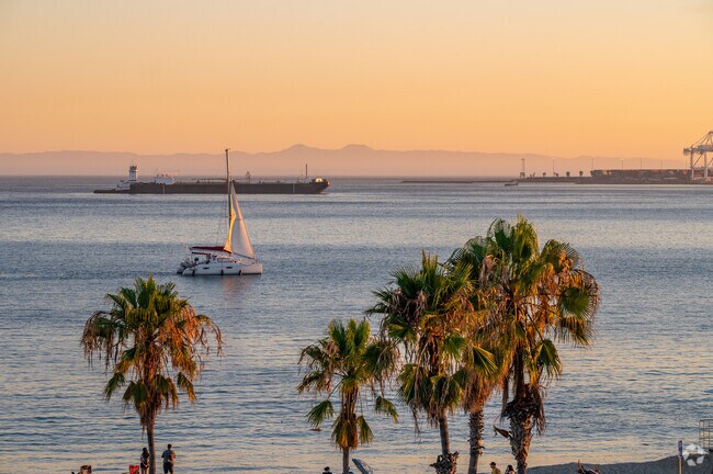 Views from Bluff Park include views of boats and Catalina Island.