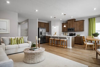 2473 White Ladyfish Rd Unit 36143549, Wimauma, FL 33598