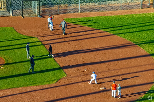 Take your kids to their baseball game at Chastain Park north of Buckhead Forest.