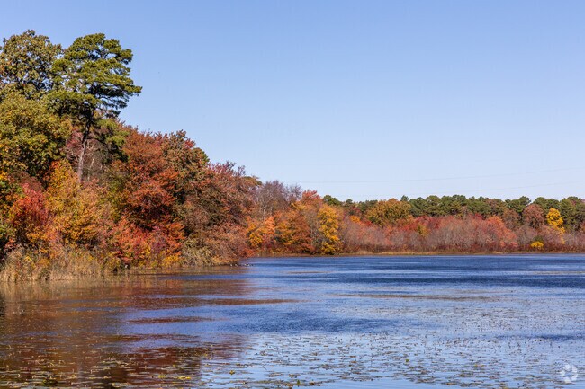 Colliers Wildlife Management Area in Plumsted is perfect for fishing and paddling.