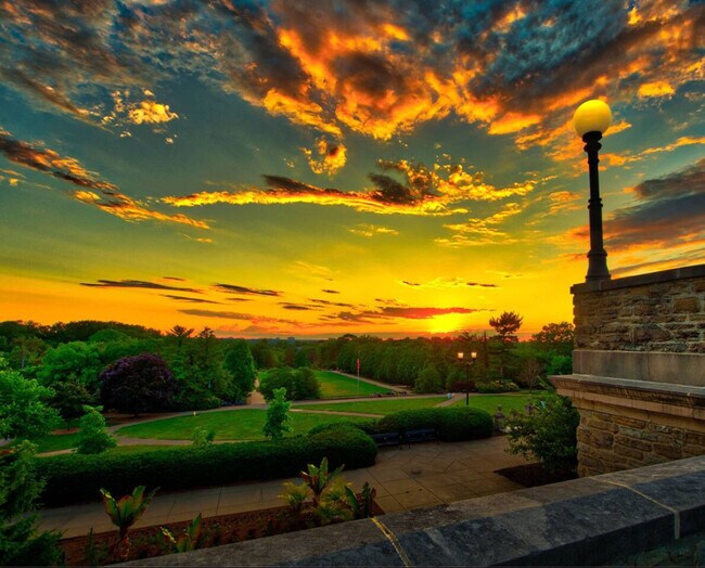 3508 Tarpis Ave unit ID1353186P, Cincinnati, OH 45208 - photo 4