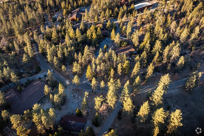 A bird’s eye view of the Idyllwild Arts Academy campus.