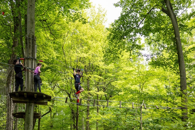 Get your adrenaline pumping at Go Ape Zipline in Eagle Creek Park.