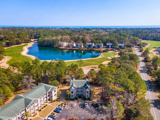 598 Blue Stem Dr unit ID1253491P, Pawleys Island, SC 29585 - photo 3