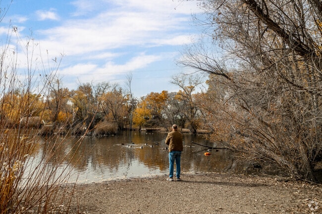 A man feeds the ducks at Beus Pond Park in Southeast Ogden.