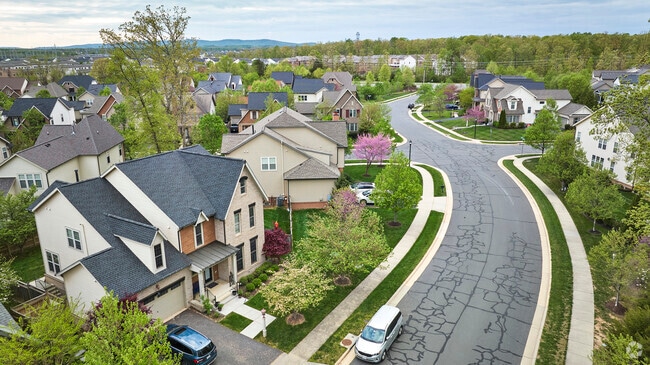Modern single-family homes and trees line the streets of Brambleton.