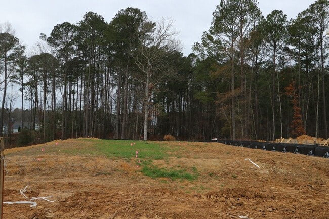 2422 Andrena Way, New Hill, NC 27562 - photo 3